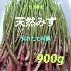 2026年最新】ミズ 山菜の人気アイテム - メルカリ