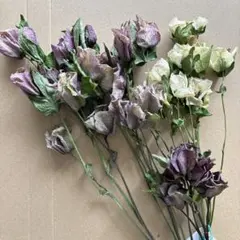 ♡クリスマスローズ　♡ドライフラワー ★花材にいかがですか？　　㊷