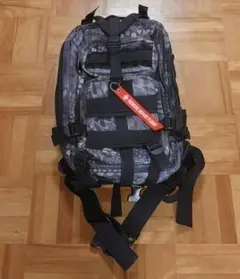 LeSportsac ケビンデヴァイン美品 バックパック リュック 黒スカル 