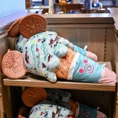 東京ディズニーリゾート ミッキーマウス チョコミント アイスクリーム クッションのサムネイル