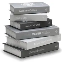 mon・o・tone アッシュのダミーブック6個セット 洋書