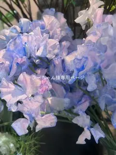 ひーちゃん様専用ページ 合格トレーニング 日商簿記 2級