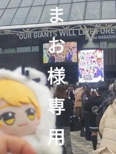 まお様専用 けちゃお様等身缶バッジ19枚