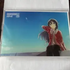 青春ブタ野郎 麻衣さんドライブセット C106 桜島麻衣 青ブタ - メルカリ
