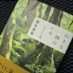 小さな神のいるところ