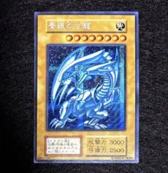 ブルーアイズ シクブル 初期 観賞用