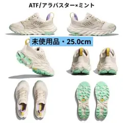 Item thumbnail for item 1c03b379-3575-44ad-95d8-dc32128827ad