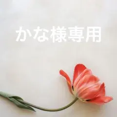 かな様専用ページ