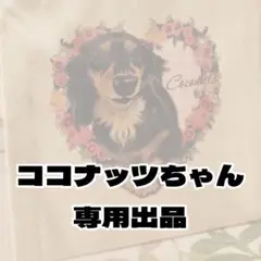 INUMI　抽選企画 ココナッツちゃん　専用出品