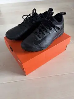 Item thumbnail for item a5e798d8-145e-4054-a888-597d076bd196