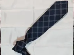 Item thumbnail for item 185c7e06-8712-442d-b6db-54c7f2dd40ff