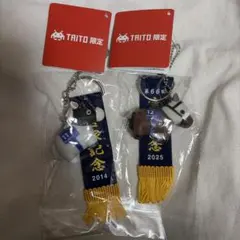 全種コンプセット 優勝レイ付きソフビフィギュアボールチェーン3
