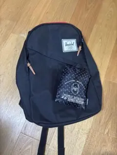 Item thumbnail for item 5b1a5b88-140e-4a3e-ada8-b3424be1c4b3