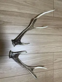 鹿の角 シカのツノ 約65cm 2本 - メルカリ