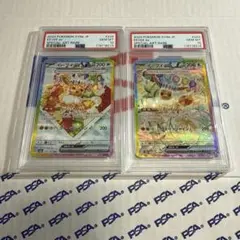 PSA10 イーブイ　EX SAR 連番　2枚セット　ポケモンカード　最安値‼️