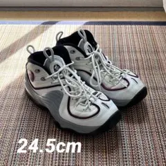 NIKE AIR PENNY II ナイキ エアペニー2 24.5cm