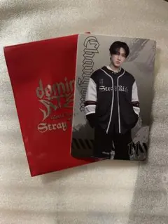 StrayKids トレカ チャンビン