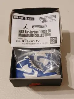 NIKE Air Jordan ガチャ STORM BLUE エアジョーダン
