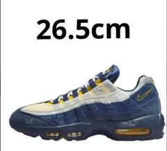 Eric Koston × Nike SB Air Max 95