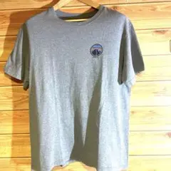 パタゴニア 北斎 ウェーブ Tシャツ グレー 鎌倉 限定 富士山 波 2019