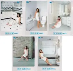 未開封アイドルタオル＋DVD)アイドルタオル　飯島直子／ DVD『永遠の美少女』 永遠の美少女くびれてるぜDVD かとうれいこ、飯島直子、原久美子、他