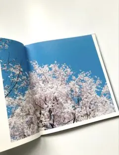 奈良美智 After the Acid Rain 木版画 - メルカリ