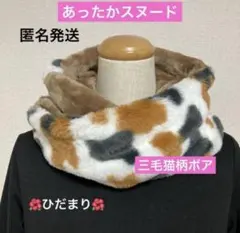 Item thumbnail for item 87773dd3-c94b-451e-a688-f1018bfc188b