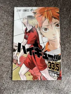 ハイキュー 33.5巻 ゴミ捨て場の決戦 特典 非売品