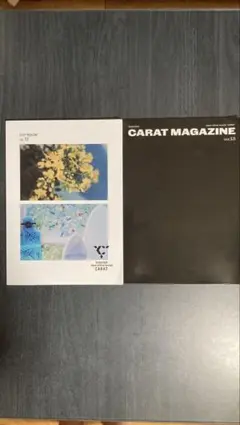 CARAT MAGAZINE vol.12、13 SEVENTEEN
