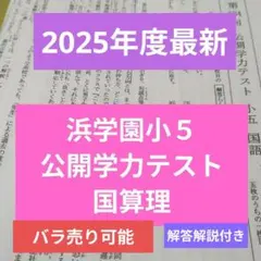 浜学園　小5　公開テスト　国算理社　4教科　解答解説付き　2025年度　最新版 浜学園 小5公開学力テスト【国算理社4教科】2025年最新版 解答解説付き