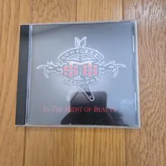 マイケルシェンカー 洋楽