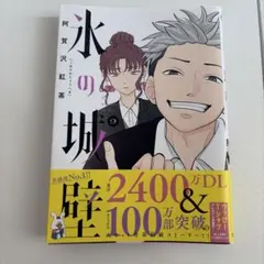 氷の城壁 9