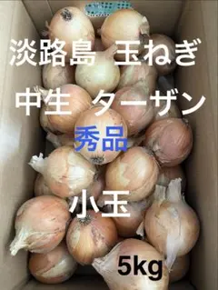 淡路島 玉ねぎ 秀品 小玉 5kgのサムネイル