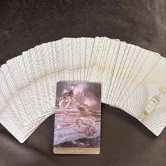 ガブリ様 リクエスト 2点 まとめ商品