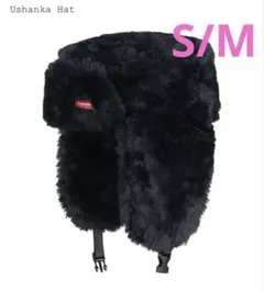 Item thumbnail for item cd5f372f-c31f-4398-8c76-885fc894e160