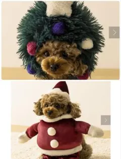 Item thumbnail for item 544a1a84-c7ba-4d31-8175-58b148361cd3