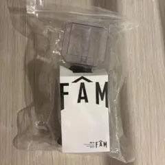 timelesz FAM ペンライト【電池付き】