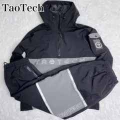 TAOTECH スノージャケットパンツ上下 セットアップ Fsize ストリート
