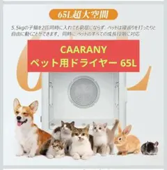 Item thumbnail for item c7e4db11-cd75-4d55-8aa1-5a24b1e30f9b