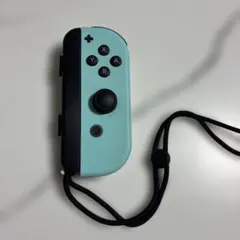 スイッチ　ジョイコン　Joy-Con 　動作OK　ストラップ付き　どうぶつの森