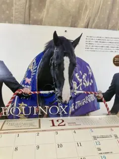 2026年 壁掛けカレンダー 競走馬 かっこいい競走馬がいっぱい JRA