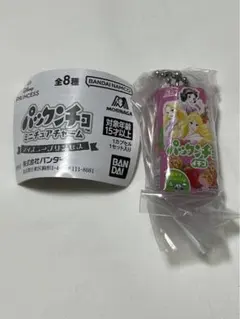 ディズニープリンセス　パックンチョ　ミニチュアチャーム　ラプンツェル　オーロラ