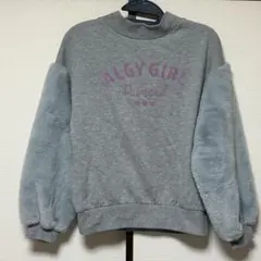 アルジー　　トレーナー