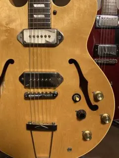 2026年最新】epiphone casino ハードケースの人気アイテム - メルカリ