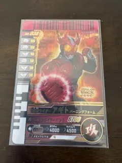 アギトバーニングフォームLR