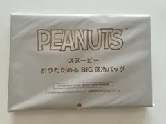 SNOOPY スヌーピー　折りたためるBIG保冷バッグ　クックパッドプラス　付録のサムネイル