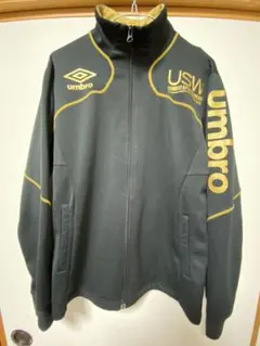 Item thumbnail for item 019e8e7a-f43f-4a86-bafd-9c442968ffb1