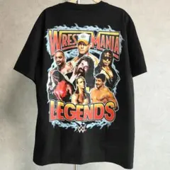 WWE 殿堂 Tシャツ M プロレス グレートムタ レイミステリオ 武藤敬司