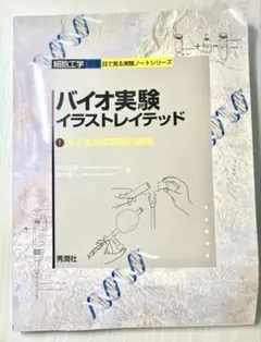 Item thumbnail for item c58df5c5-018d-4058-a5f7-d15b7692fc9d