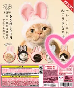 ねこのかぶりもの ねこうさぎちゃん ブラウン
